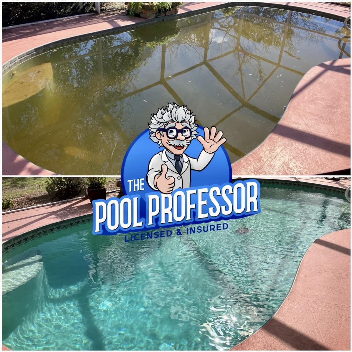 Green pool to clean pool transformation